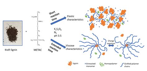 Lignin: Un Agent Rhéologique Indispensable pour les Composites Avancés!