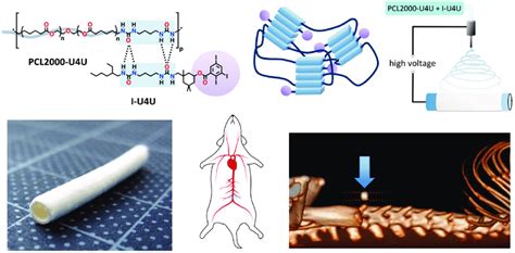  Polycaprolactone: Un Biomatériau Révolutionnaire Pour L’Ingénierie Tissulaire et Les Implants Dégradables!