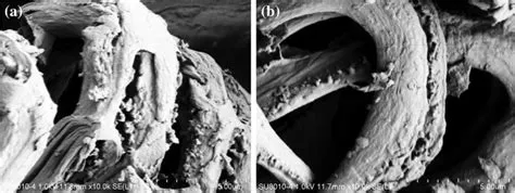  Xonotlite Composites: Une Solution Inattendue pour une Construction Durable ?